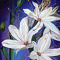 White flower