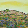 Anemone Hill