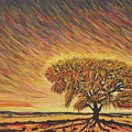 Resilience in the Arid Embrace