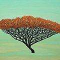The floating tree